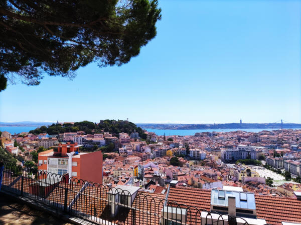 panorama2